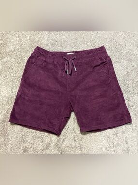 VSTR Premium Corduroy Shorts Men’s M Purple Stretch